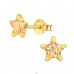 6mm star zirconia gold plated - 925 Sterling Silver Basic Ear Studs A4S45208