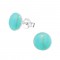 Shell: Turquoise