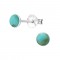 Shell: Turquoise