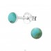 Round - 925 Sterling Silver Ear Studs with semi-precious stones A4S21871