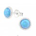 Round Opal - 925 Sterling Silver Ear Studs with semi-precious stones A4S23626