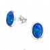 Oval - Argint 925 Cercei cu pietre semipreţioase A4S26902