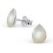 Shell: White