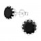 Zirkonia: Black Jantar 