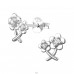 Päťlupeňové kvety so zirkónmi - Šperkové Striebro 925 Puzetové Náušnice So Zirkónom A4S50269
