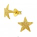 Star - 925 Sterling Silver Plain Ear Studs A4S22098