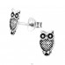 Owl - 925 Sterling Silver Plain Ear Studs A4S26236