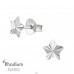 Star - 925 Sterling Silver Plain Ear Studs A4S38605