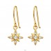 Golden northern Star - 925 Sterling Silver Earrings With Zirconia Stones A4S44315