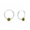 Zirconiu: Olivine 