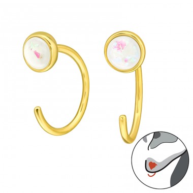 Runder Opal mit vergoldetem Haken – Ohrringe aus 925er Sterlingsilber mit Halbedelstein und Opal A4S44170
