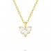 Pozlacené srdce se zirkonem  - Šperkovní Stříbro 925 Náhrdelníky S Kameny A4S42096