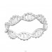Double Helix Ring  - 925 Sterling Silver Basic Rings A4S42673