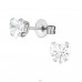 Heart - 316L Surgical Grade Stainless Steel Steel Ear Studs A4S29327