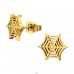 Golden Spider Web - 316L Surgical Grade Stainless Steel Steel Ear Studs A4S45512