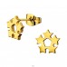 Golden Stars in snowflake shape - 316L Surgical Grade Stainless Steel Steel Ear Studs A4S45536