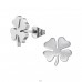 Koniczynki - 316L Stal Chirurgiczna Grade Kolczyki Sztyfty Ze Stali A4S47347
