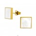 Square with shell - 316L Surgical Grade Stainless Steel Steel Ear Studs A4S47399