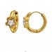 Circles with Star-shaped Zirconia, Gold Plated - 316L Surgical Grade Stainless Steel Steel Earrings A4S51278