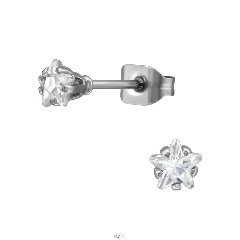 4mm Star 316L Surgical Grade Stainless Steel Steel Ear Studs A4S48288