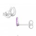 Horseshoe - 925 Sterling Silver Crystal Ear Studs A4S18304