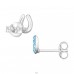 Horseshoe - 925 Sterling Silver Crystal Ear Studs A4S18304