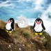 Penguin - Premium - 925 Sterling Silver Ear Studs With Enamel Colors A4S39483