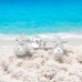 Starfish with Pearls - 925 Sterling Silver Ear Studs With Pearls A4S49513