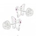 Butterfly - Premium* - 925 Sterling Silver Ear Studs With Stones A4S38318