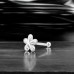 4 mm Květina - Šperkovní Stříbro 925 Silver A4S49713