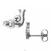 Snail - 316L Surgical Grade Stainless Steel Steel Ear Studs A4S50363
